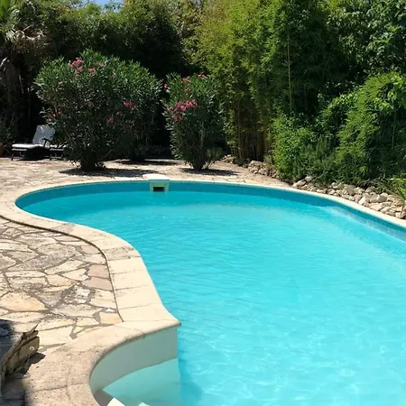 Hotel Pool Few Steps From Beach Green Zadar